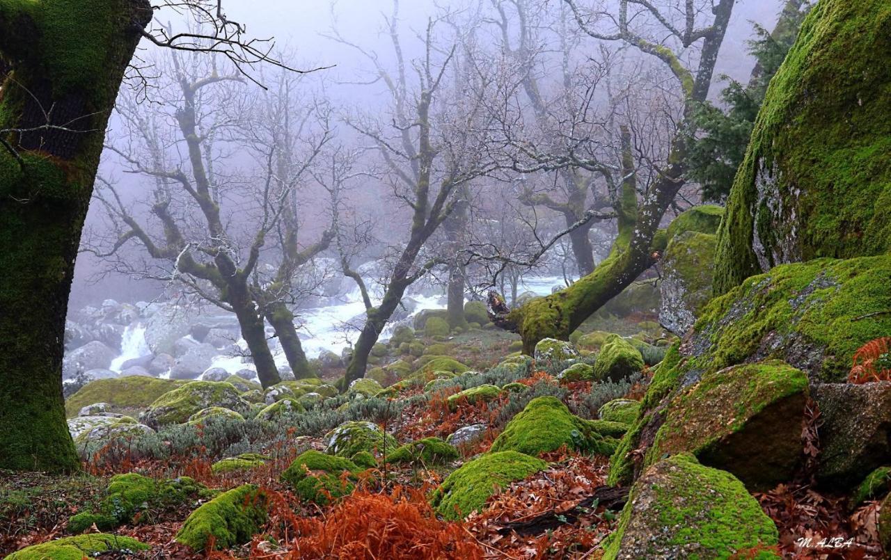 Tinao De Gredos Villa Barajas de Gredos Luaran gambar